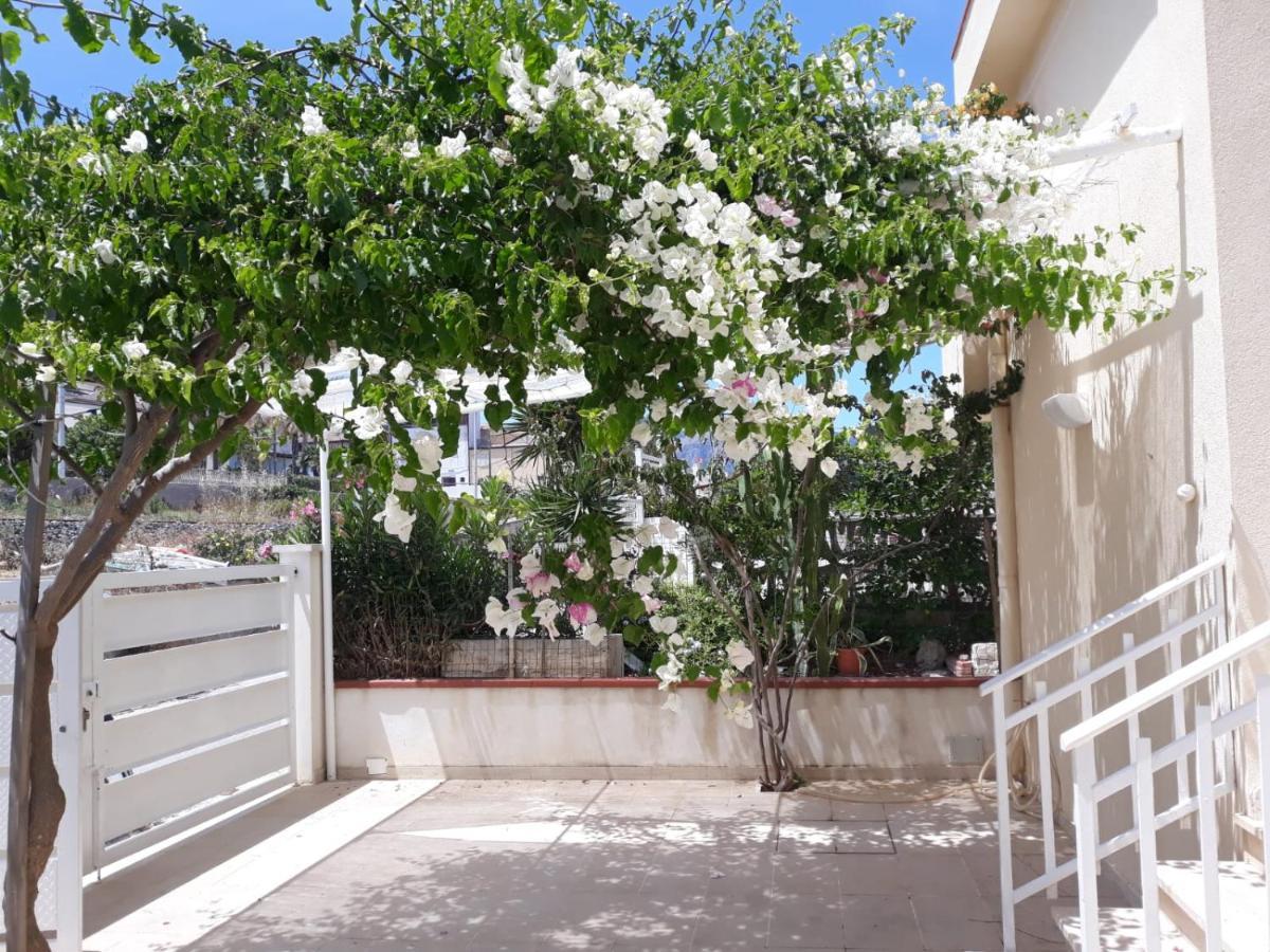 Castellammare Holiday Alcamo Marina Exteriér fotografie